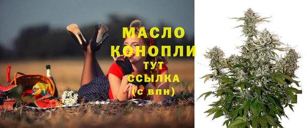 дмт Абаза