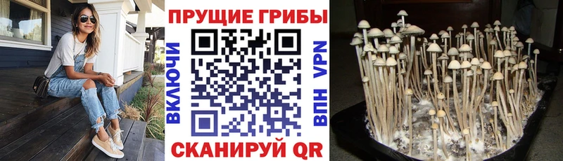 хочу   mega зеркало  Псилоцибиновые грибы ЛСД  Кировград 